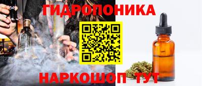 твердый Камышлов