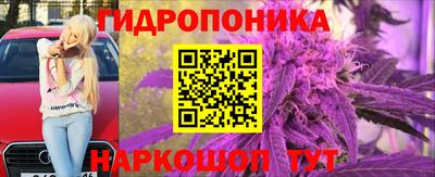 твердый Камышлов
