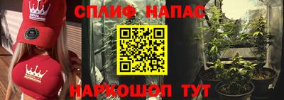 твердый Камышлов