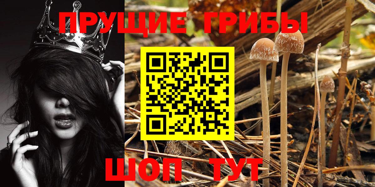 Кубинка  Галлюциногенные грибы Magic Shrooms  Псилоцибиновые грибы Psilocybe  Вход с VPN 